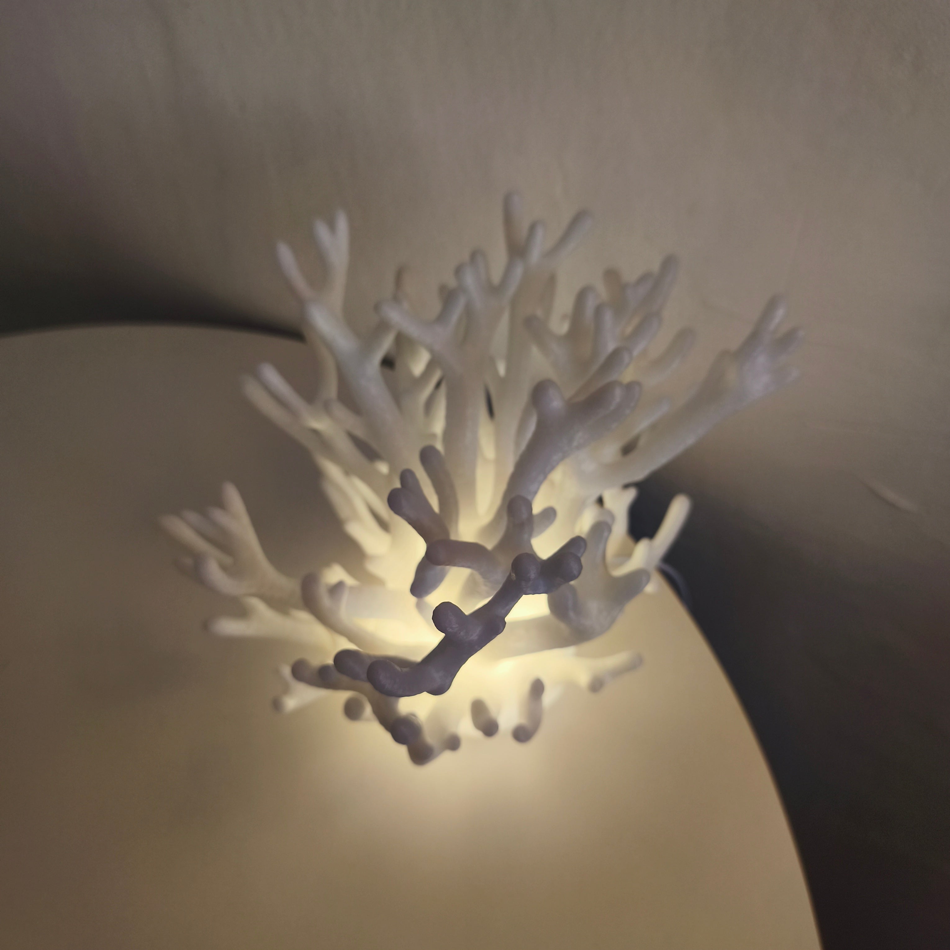 Coral Lamp — vy 4, Bordslampa Skenloft